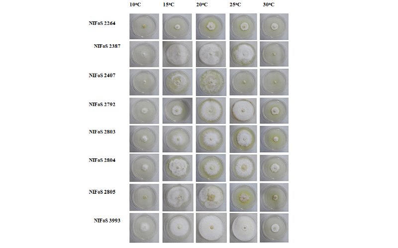 https://www.kjmycology.or.kr/images/kjom/images/N0320460309_image/Figure_kjom_46_03_09_F5.jpg