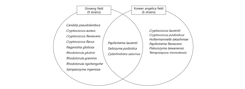 https://www.kjmycology.or.kr/images/kjom/images/N0320460312_image/Figure_kjom_46_03_12_F2.jpg