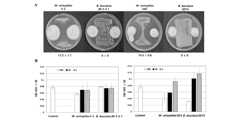 https://www.kjmycology.or.kr/images/kjom/images/N0320460314_image/Figure_kjom_46_03_14_F6.jpg