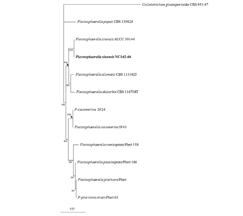 https://www.kjmycology.or.kr/images/kjom/images/N0320460315_image/Figure_kjom_46_03_15_F2.jpg