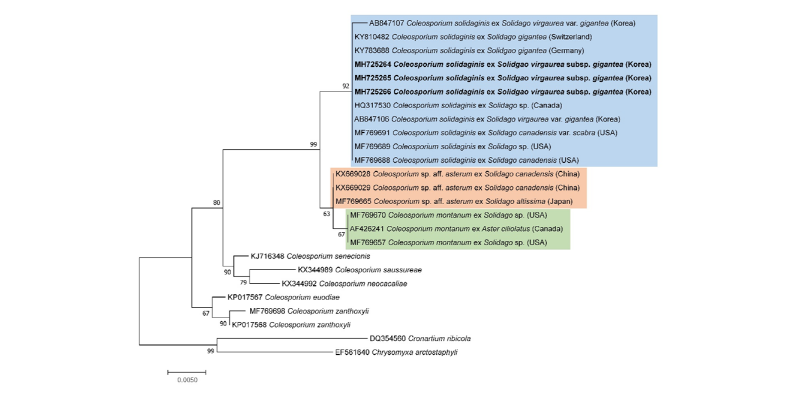 https://www.kjmycology.or.kr/images/kjom/images/N0320460316_image/Figure_kjom_46_03_16_F2.jpg
