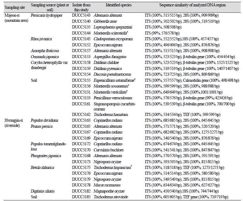 https://www.kjmycology.or.kr/images/kjom/images/N0320460401_image/Table_kjom_46_04_01_T1.jpg
