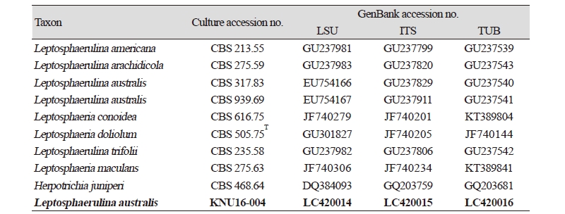 https://www.kjmycology.or.kr/images/kjom/images/N0320460402_image/Table_kjom_46_04_02_T1.jpg