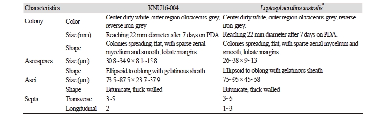 https://www.kjmycology.or.kr/images/kjom/images/N0320460402_image/Table_kjom_46_04_02_T2.jpg