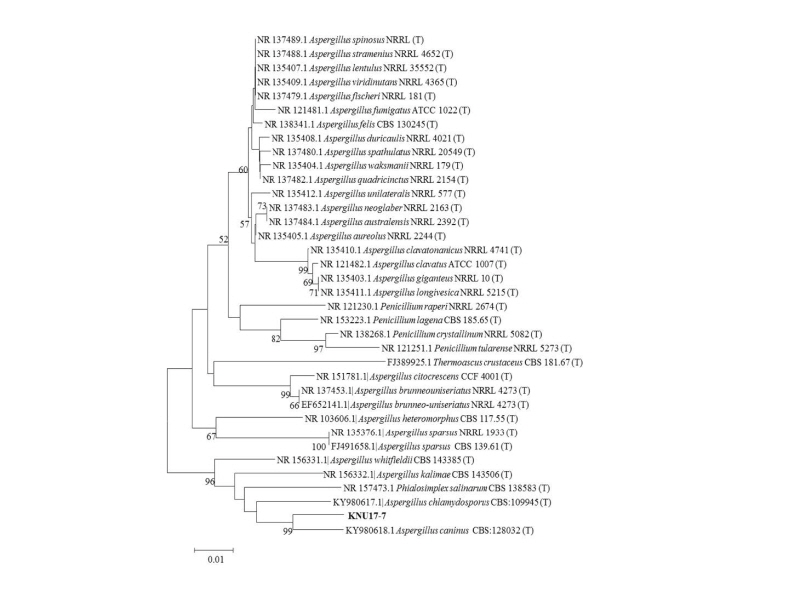 https://www.kjmycology.or.kr/images/kjom/images/N0320460404_image/Figure_kjom_46_04_04_F3.jpg