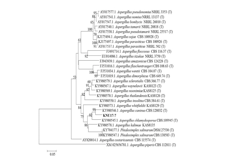 https://www.kjmycology.or.kr/images/kjom/images/N0320460404_image/Figure_kjom_46_04_04_F4.jpg