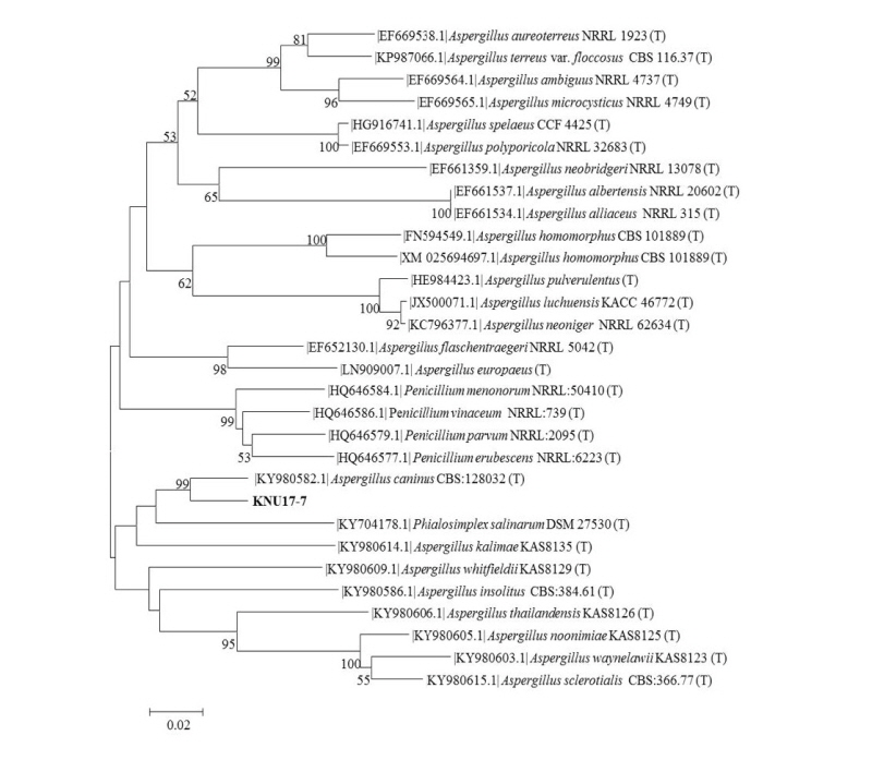 https://www.kjmycology.or.kr/images/kjom/images/N0320460404_image/Figure_kjom_46_04_04_F5.jpg