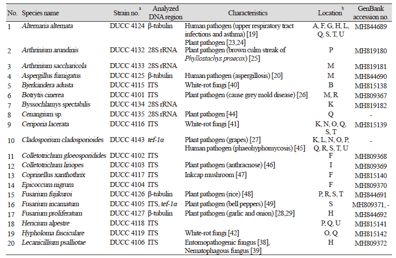 https://www.kjmycology.or.kr/images/kjom/images/N0320460405_image/Table_kjom_46_04_05_T2.jpg
