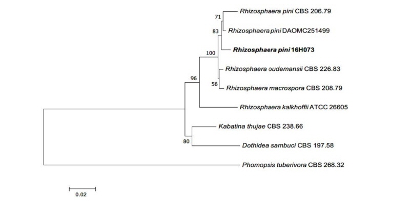 https://www.kjmycology.or.kr/images/kjom/images/N0320460406_image/Figure_kjom_46_04_06_F3.jpg