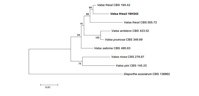 https://www.kjmycology.or.kr/images/kjom/images/N0320460406_image/Figure_kjom_46_04_06_F4.jpg
