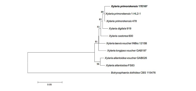 https://www.kjmycology.or.kr/images/kjom/images/N0320460406_image/Figure_kjom_46_04_06_F5.jpg