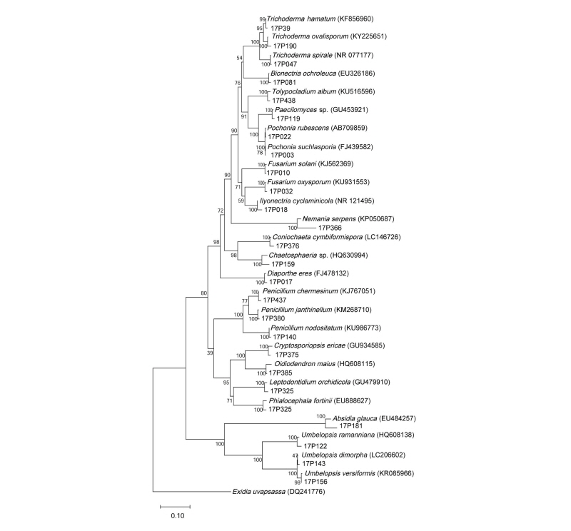 https://www.kjmycology.or.kr/images/kjom/images/N0320460408_image/Figure_kjom_46_04_08_F2.jpg