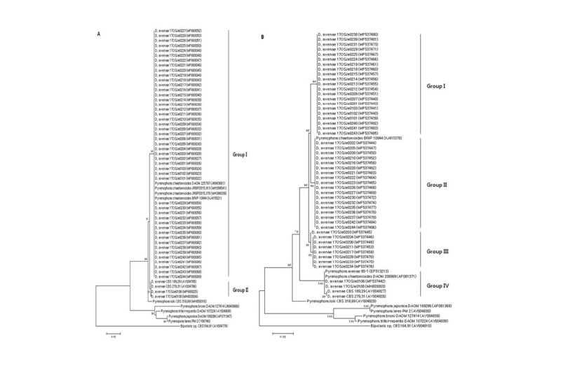 https://www.kjmycology.or.kr/images/kjom/images/N0320460411_image/Figure_kjom_46_04_11_F2.jpg