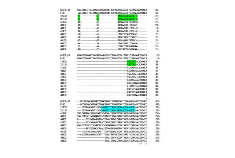 https://www.kjmycology.or.kr/images/kjom/images/N0320460412_image/Figure_kjom_46_04_12_F1.jpg