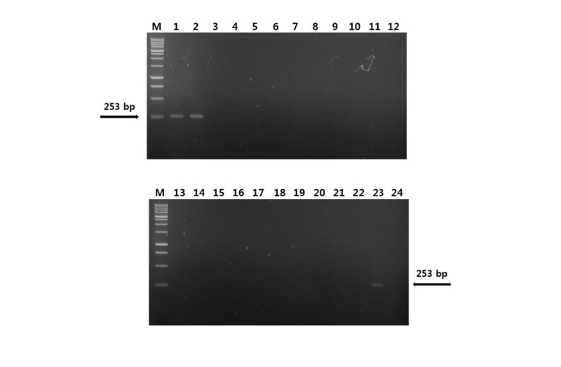 https://www.kjmycology.or.kr/images/kjom/images/N0320460412_image/Figure_kjom_46_04_12_F3.jpg