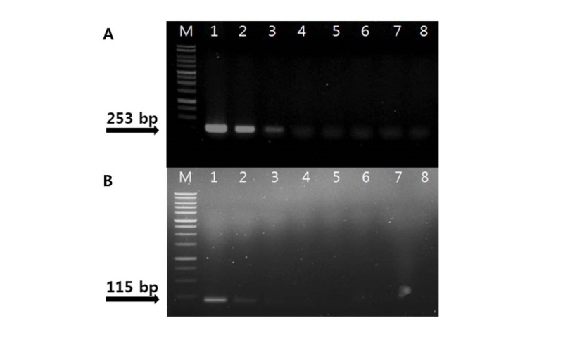 https://www.kjmycology.or.kr/images/kjom/images/N0320460412_image/Figure_kjom_46_04_12_F5.jpg