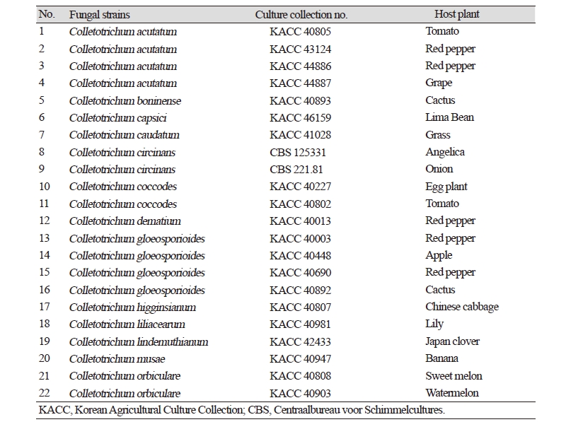 https://www.kjmycology.or.kr/images/kjom/images/N0320460412_image/Table_kjom_46_04_12_T1.jpg