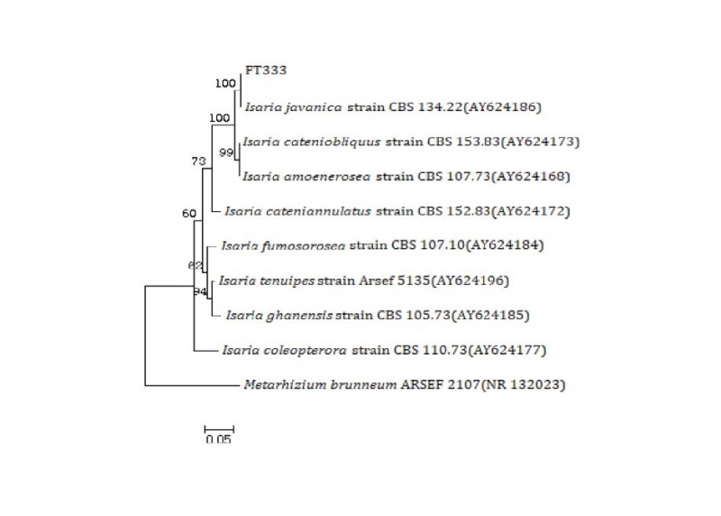 https://www.kjmycology.or.kr/images/kjom/images/N0320460413_image/Figure_kjom_46_04_13_F3.jpg