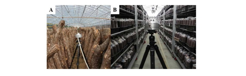 https://www.kjmycology.or.kr/images/kjom/images/N0320460415_image/Figure_kjom_46_04_15_F1.jpg