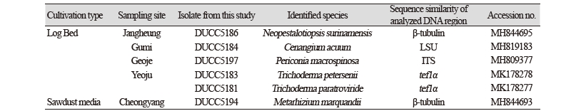 https://www.kjmycology.or.kr/images/kjom/images/N0320460415_image/Table_kjom_46_04_15_T1.jpg