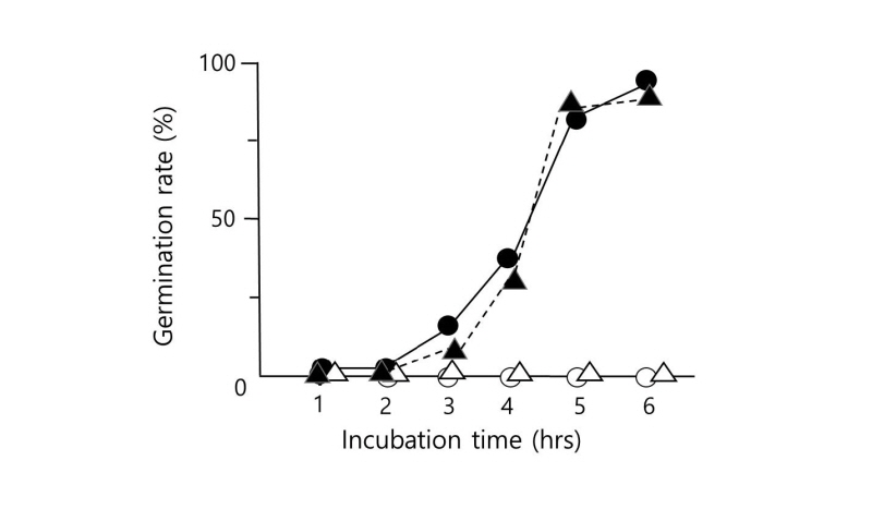 https://www.kjmycology.or.kr/images/kjom/images/N0320460417_image/Figure_kjom_46_04_17_F1.jpg
