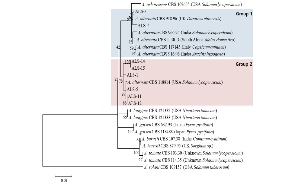 https://www.kjmycology.or.kr/images/kjom/images/N0320480401_image/Figure_KJOM_48_04_01_F3.png