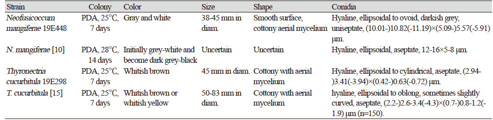 https://www.kjmycology.or.kr/images/kjom/images/N0320480406_image/Table_KJOM_48_04_06_T1.png