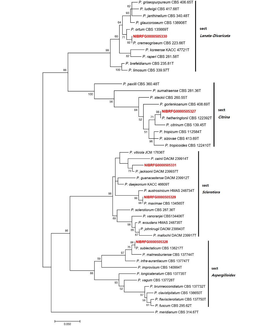 https://www.kjmycology.or.kr/images/kjom/images/N0320480408_image/Figure_KJOM_48_04_08_F1.png