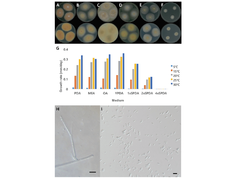 https://www.kjmycology.or.kr/images/kjom/images/N0320480409_image/Figure_KJOM_48_04_09_F1.png