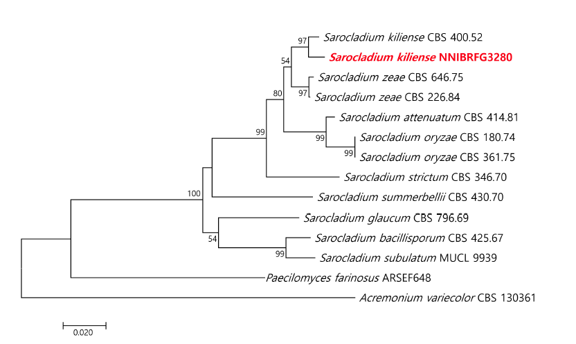 https://www.kjmycology.or.kr/images/kjom/images/N0320480409_image/Figure_KJOM_48_04_09_F2.png