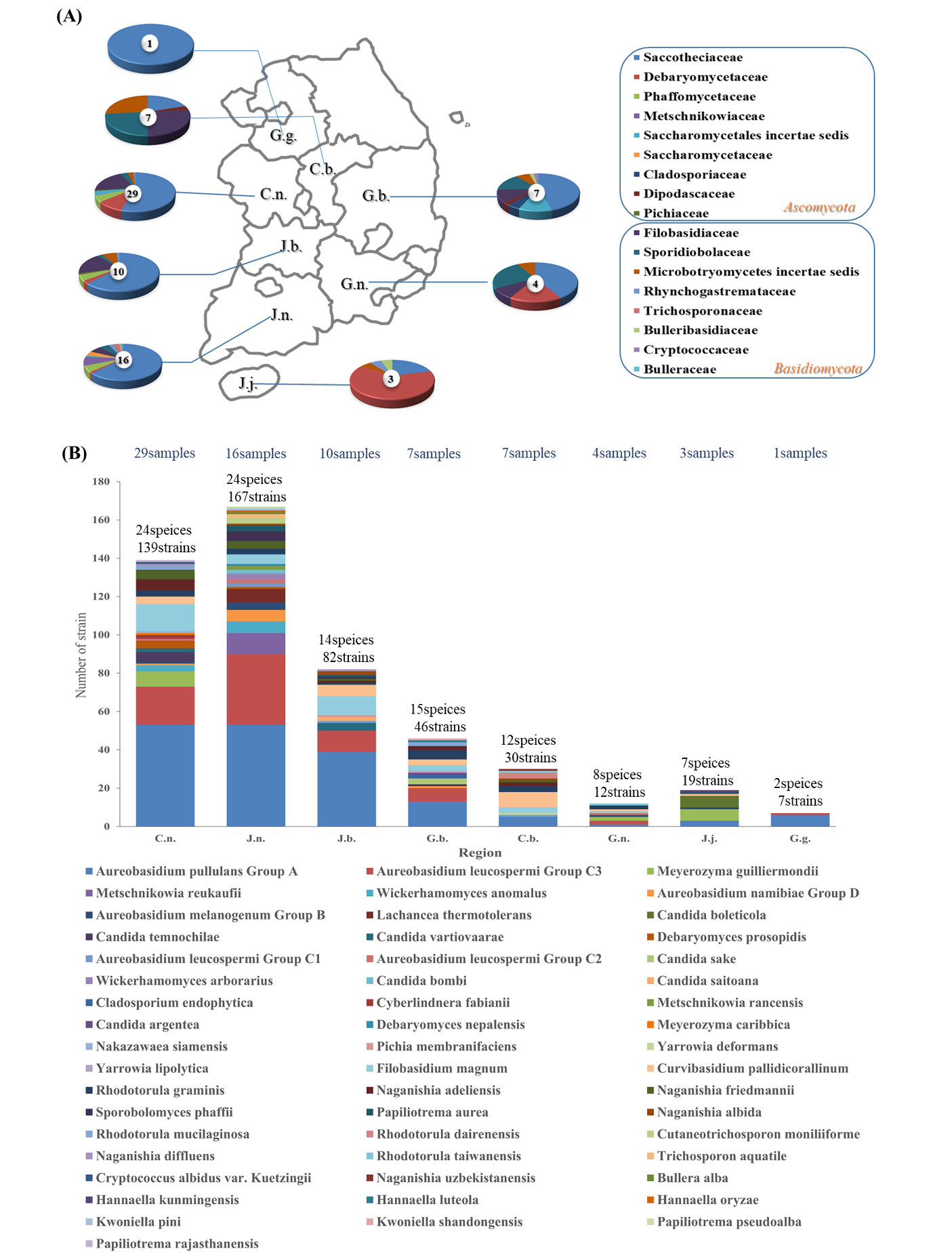https://www.kjmycology.or.kr/images/kjom/images/N0320480410_image/Figure_KJOM_48_04_10_F2.png
