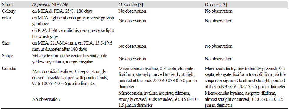 https://www.kjmycology.or.kr/images/kjom/images/N0320480411_image/Table_KJOM_48_04_11_T1.png