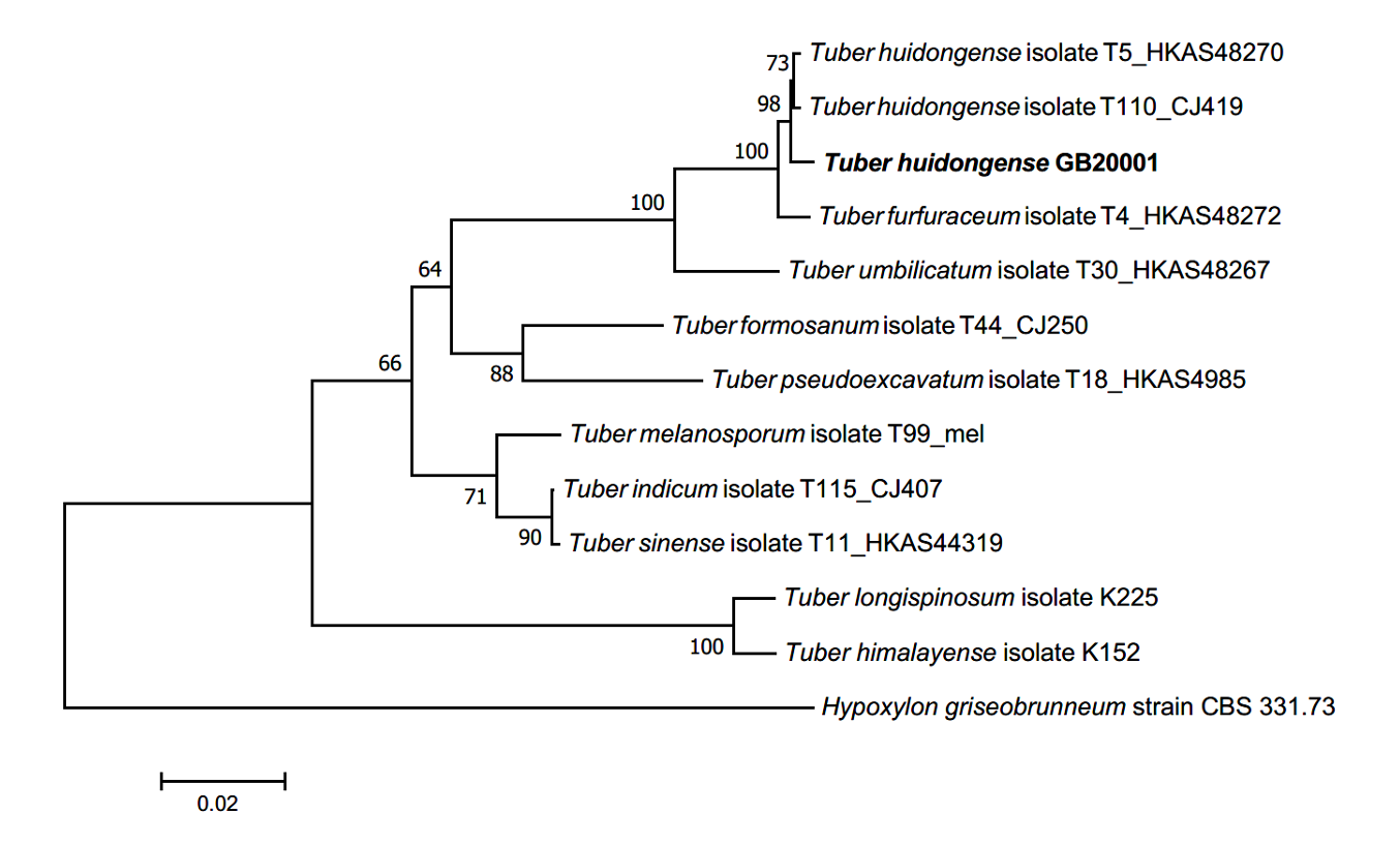https://www.kjmycology.or.kr/images/kjom/images/N0320480414_image/Figure_KJOM_48_04_14_F2.png