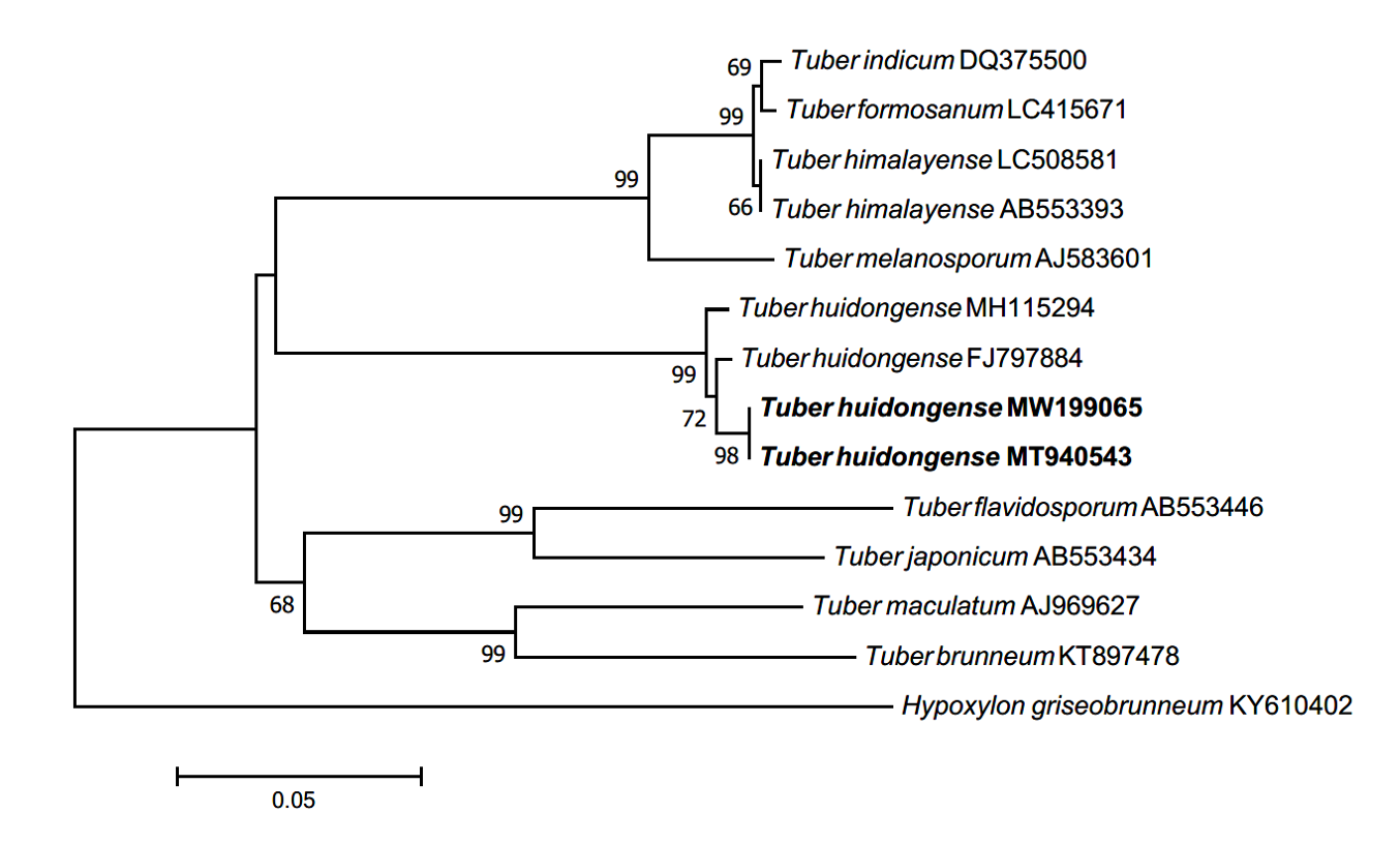 https://www.kjmycology.or.kr/images/kjom/images/N0320480414_image/Figure_KJOM_48_04_14_F4.png
