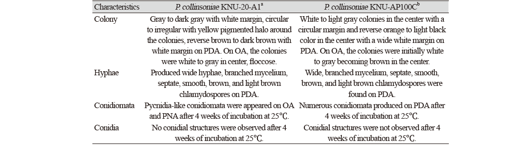 https://www.kjmycology.or.kr/images/kjom/images/N0320480415_image/Table_KJOM_48_04_15_T1.png