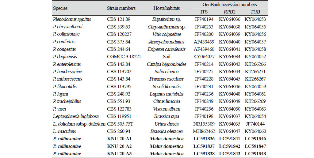 https://www.kjmycology.or.kr/images/kjom/images/N0320480415_image/Table_KJOM_48_04_15_T2.png