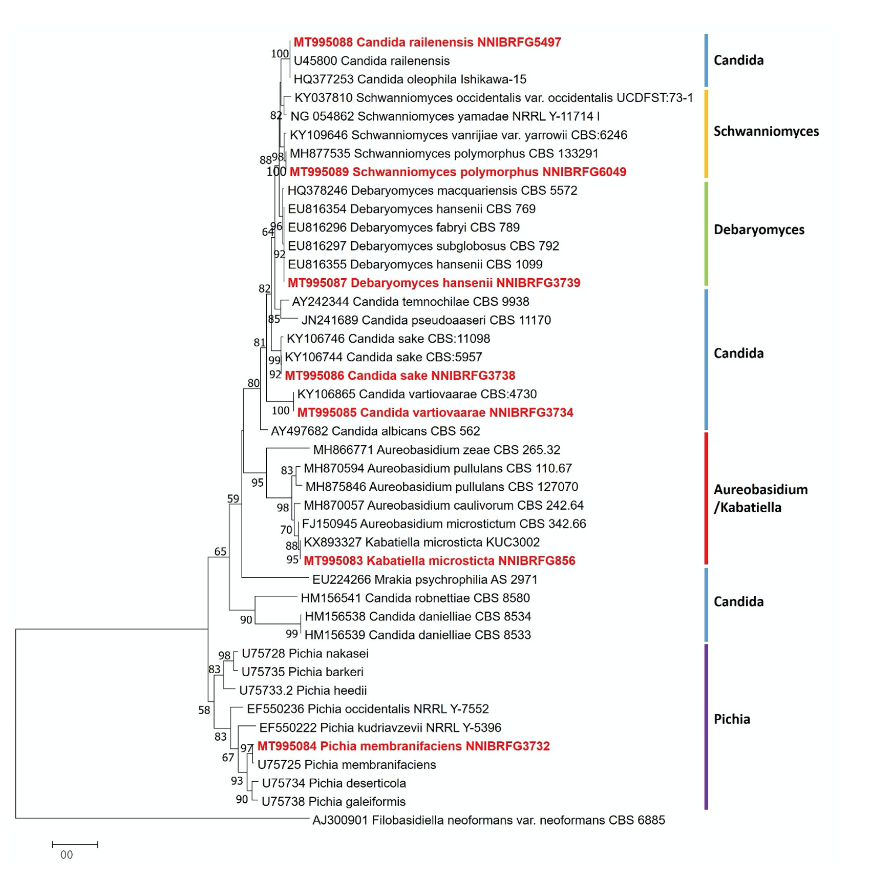 https://www.kjmycology.or.kr/images/kjom/images/N0320480417_image/Figure_KJOM_48_04_17_F1.png